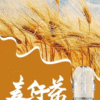 3.png SP2S煙彈 三顆/盒 思博睿霧化彈 原裝正品 通用悅刻Relx主機一代