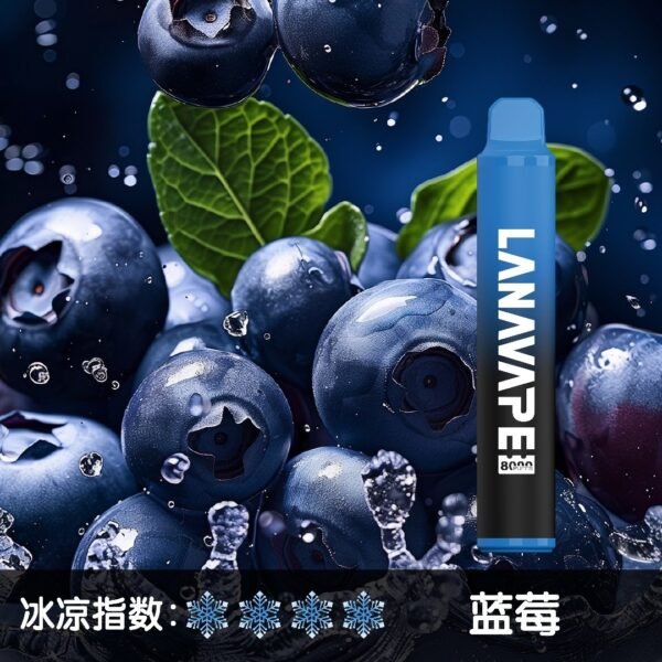 微信图片_20250606105211.jpg LANA 8000 PUFFS 拋棄式一次性電子煙 台灣電子煙推薦