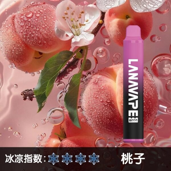 微信图片_20250606105225.jpg LANA 8000 PUFFS 拋棄式一次性電子煙 台灣電子煙推薦