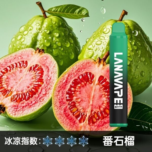 微信图片_20250606105231.jpg LANA 8000 PUFFS 拋棄式一次性電子煙 台灣電子煙推薦
